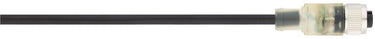 AB-C4-[L]PUR-M12FS-2L