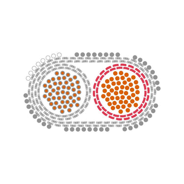 KN4L-S NiCr/Ni KCA 2X1,5 DIN oval